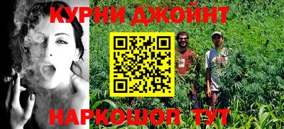 гидра Аша