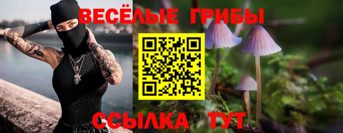 Псилоцибиновые грибы ЛСД  Галлюциногенные грибы мухоморы  Вход с VPN  как найти закладки  Нефтекамск 